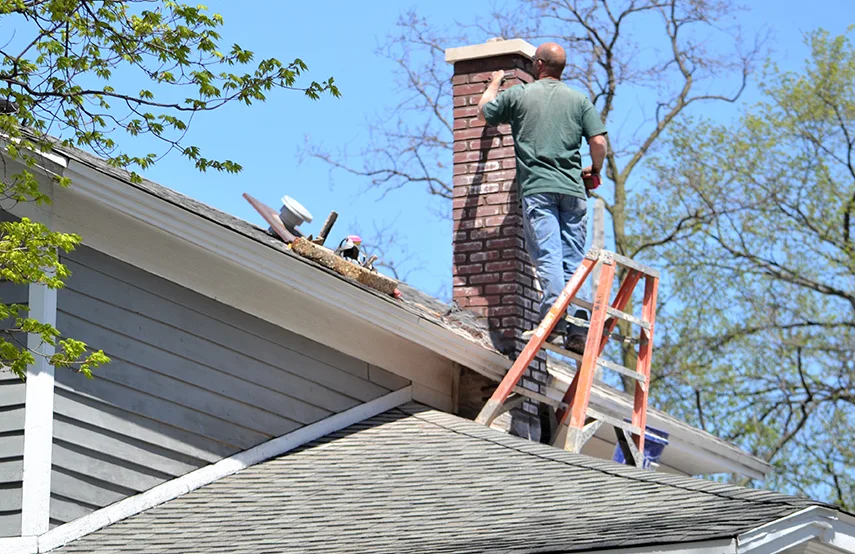 Chimney & Fireplace Inspections Services in Castaic, CA